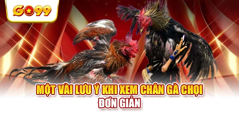 Một vài lưu ý khi xem chân gà chọi đơn giản Một vài lưu ý khi xem chân gà chọi đơn giản
