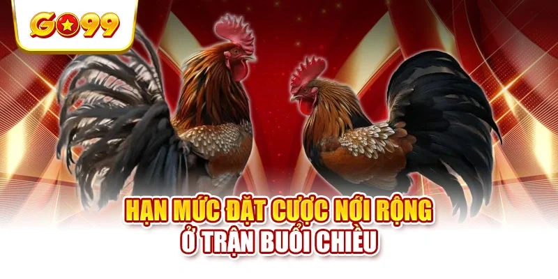 Hạn mức đặt cược nới rộng ở trận buổi chiều Hạn mức đặt cược nới rộng ở trận buổi chiều