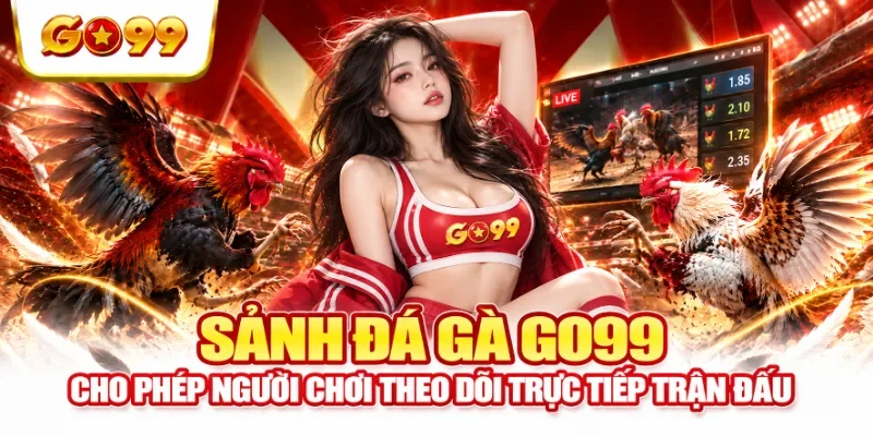 Sảnh đá gà GO99 cho phép người chơi theo dõi trực tiếp trận đấu
